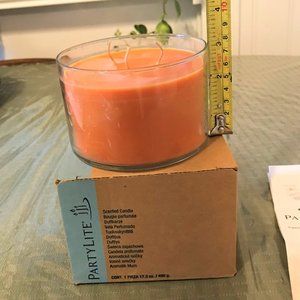 PartyLite 3 Wick Candle 17.5 oz New